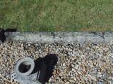 image of grave number 582793